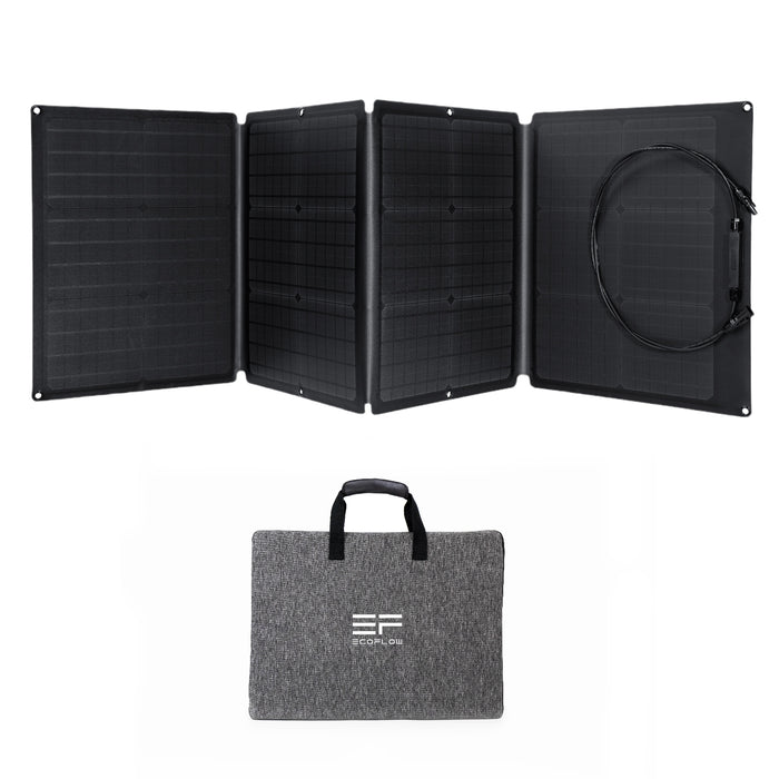 EcoFlow RIVER Pro + 1*110W Solar Panel