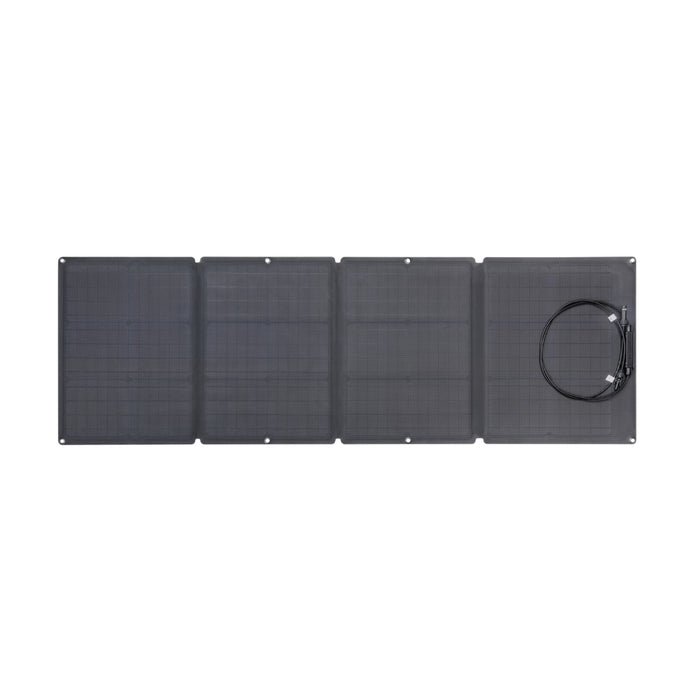 EcoFlow RIVER Pro + 1*110W Solar Panel