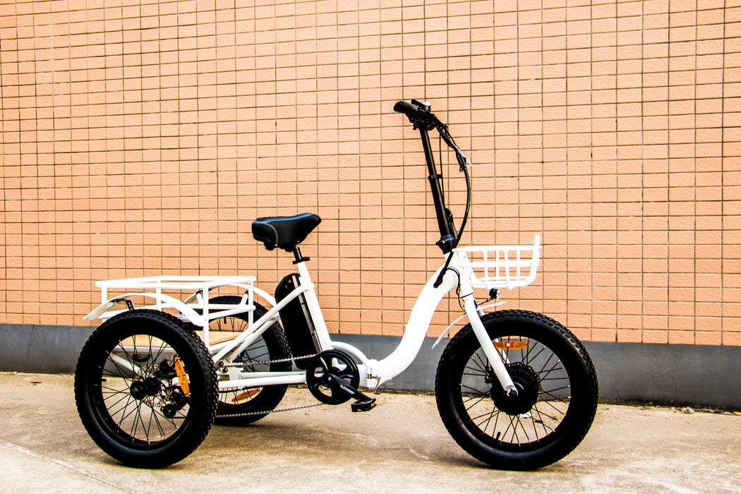 Eunoroa New-Trike Electric Bike