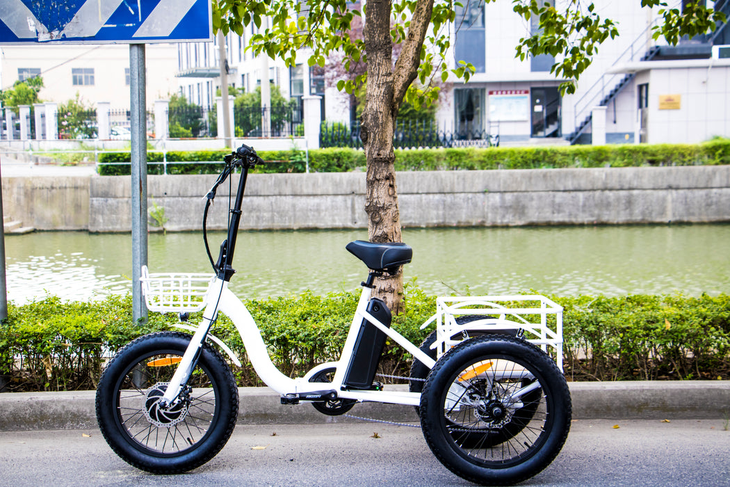 Eunoroa New-Trike Electric Bike