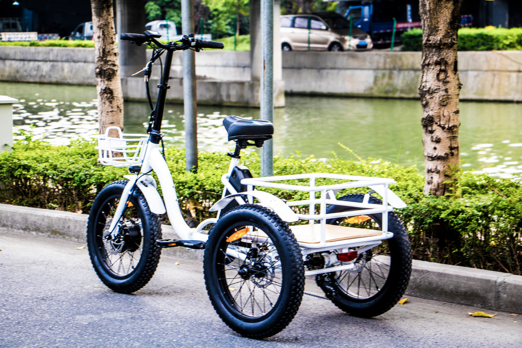 Eunoroa New-Trike Electric Bike