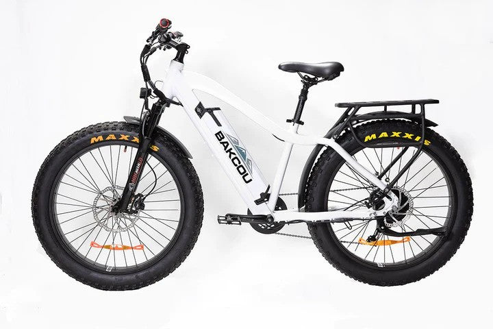 Bakcou Flatlander Electric Bike