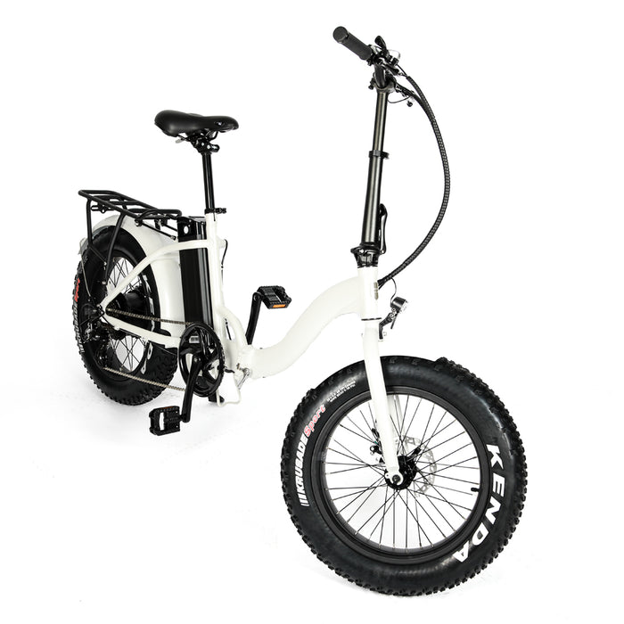 Eunorau E-FAT-STEP Electric Bike