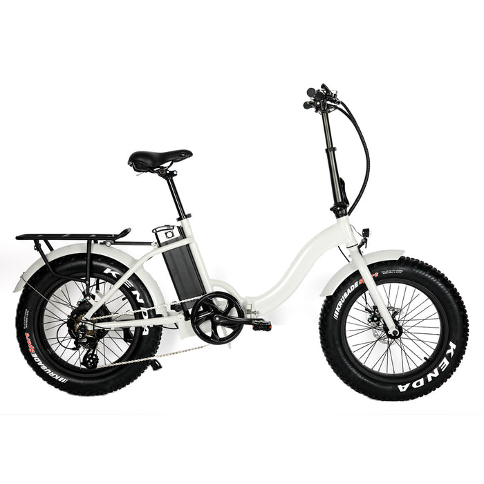 Eunorau E-FAT-STEP Electric Bike