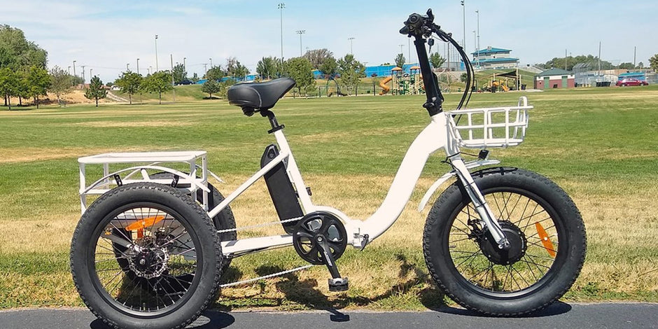 Eunoroa New-Trike Electric Bike