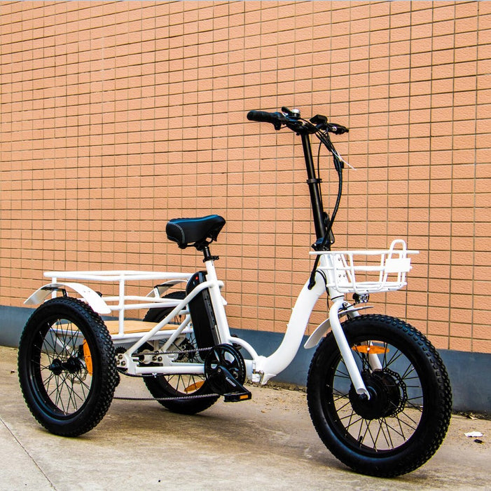 Eunoroa New-Trike Electric Bike