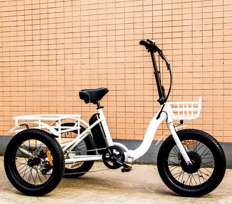 Eunoroa New-Trike Electric Bike