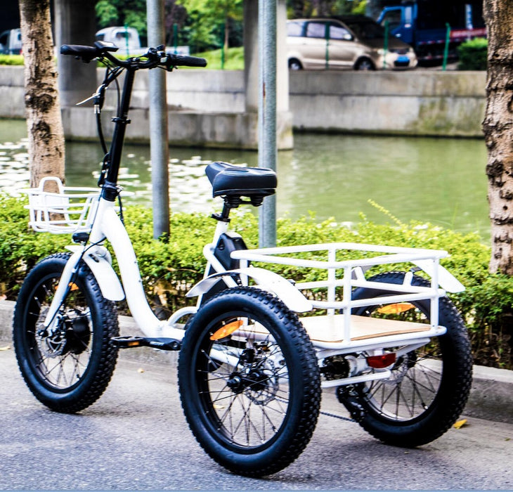 Eunoroa New-Trike Electric Bike