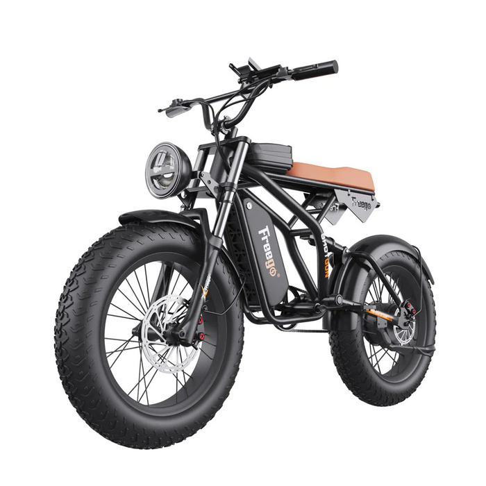 Freego F1 Fat Tires Off Road Black Electric Bike 1200W Powerful Motor Removable Battery