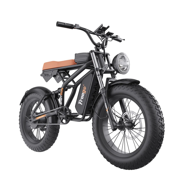 Freego F1 Fat Tires Off Road Black Electric Bike 1200W Powerful Motor Removable Battery