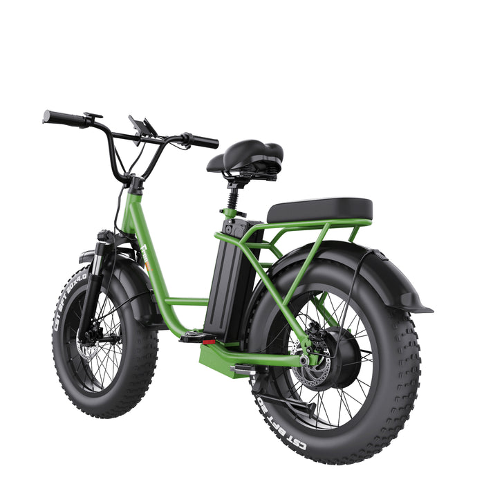 Freego FB-20X Step-thru Fat Tire Electric Bike