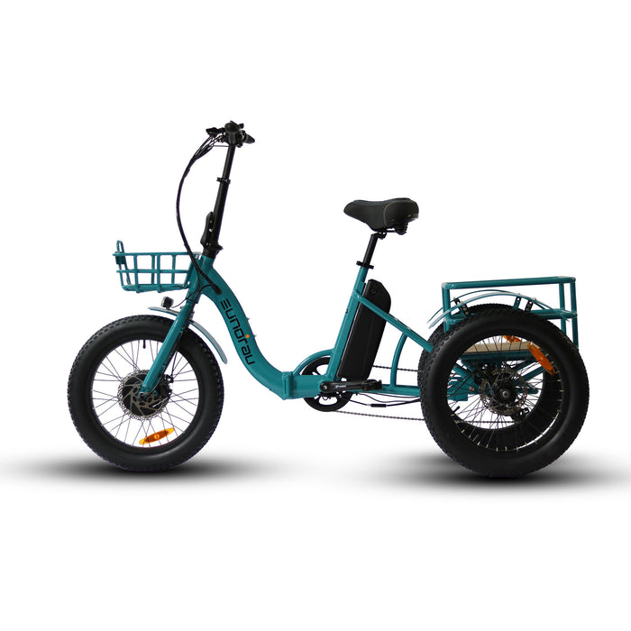 Eunoroa New-Trike Electric Bike