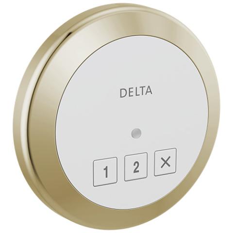 Delta® Steamscape™ Round Control