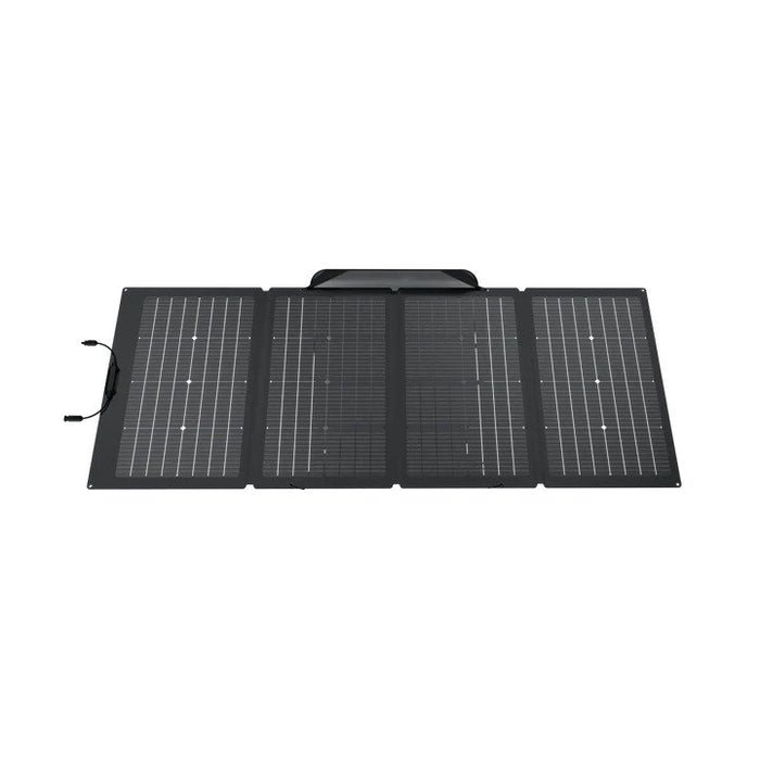 EcoFlow Delta 2 Max + 220W Solar Panel